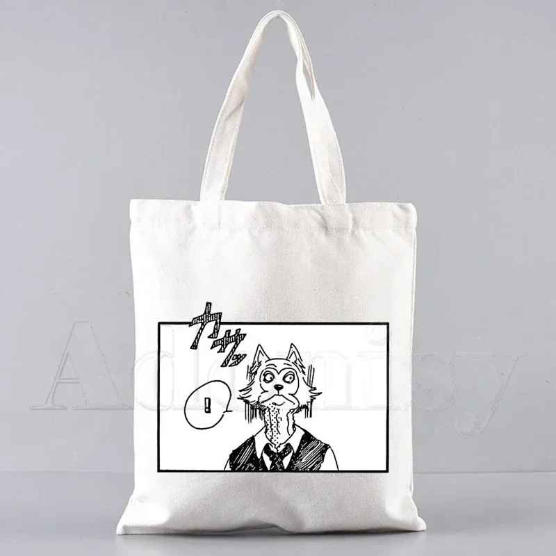 S318b3855d50143aa85a986cad04616a5O - Beastars Store