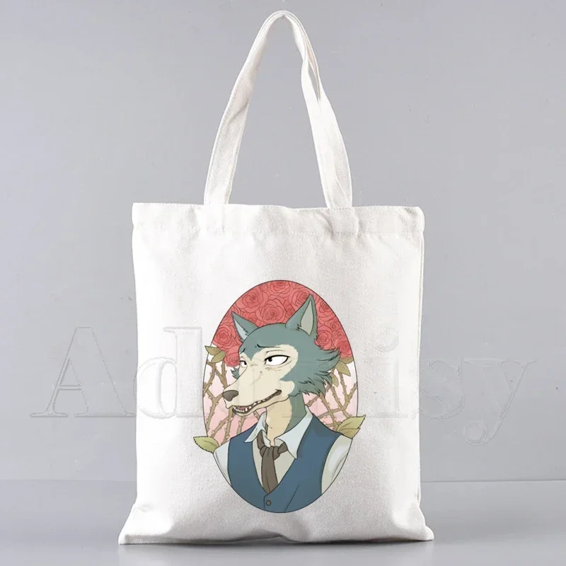 Sc9018b54fcad46738250eada871e189cv - Beastars Store